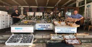 Tezgahlardaki Hamsi Bolluğu Yüzleri Güldürdü