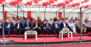 Hayratlı Ve Kadıköylü Çocuklar Birlikte Konser Verdi