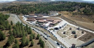 Doğal Yaşam Parkı Ve Hayvan Barınağı Açıldı