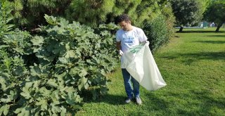 Çevre Gönüllüleri, Kıyı Ve Denizlerde Çöp Toplayıp Temizlik Yaptı
