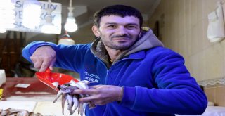 Balık, Karadenizden Ege Ve Akdenize Göç Ediyor