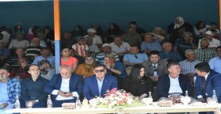 Tufanbeylide Festival Coşkusu