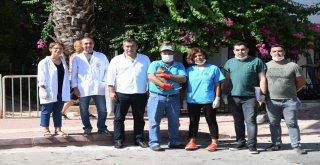 Konyaaltı Belediyesi, Kuduz Aşısı Çalışması Başlattı