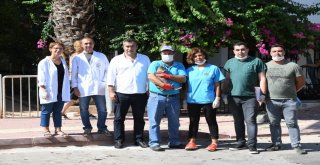 Konyaaltı Belediyesi, Kuduz Aşısı Çalışması Başlattı