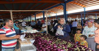 Akıncılar Kapalı Semt Pazarı Açıldı