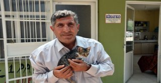 Kihayko Başkanı Metin: Hayvanları Koruma Kanunu Değiştirilmeli