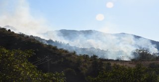 Gümüşhanede Örtü Yangını