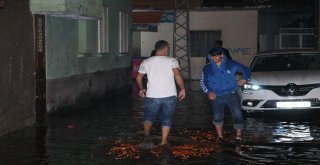 Adanada Fırtına Ağaçları Devirdi, İş Yerlerinin Camları Kırıldı