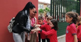 Bafrada İlkokul Öğrencilerine Hayvan Sevgisi Aşılanıyor