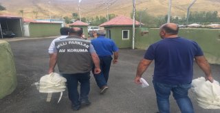 Gevaşta Kaçak Avlanmış 14 Yavru Keklik Ele Geçirildi