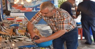 Balıkçılar Soğuk Havayı Bekliyor