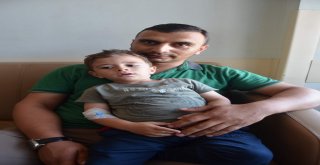 Bak Şu Yaramazın Yaptığına