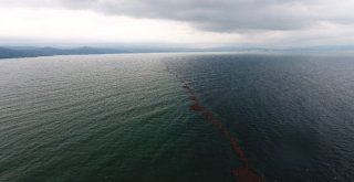 Karadeniz Adeta İkiye Bölündü