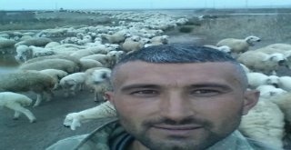 Elektrik Akımına Kapılan Koyunu Kurtarmaya Çalışan Çoban Hayatını Kaybetti