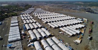 (Özel) Besicilerin 24 Saat Kurban Nöbeti