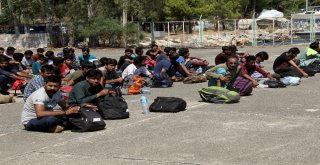 Pakistan Uyruklu 73 Kaçak Göçmen Yakalandı