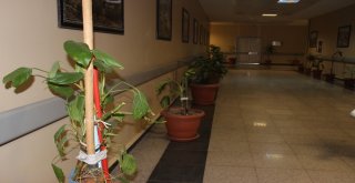 Siverek Devlet Hastanesi 5 Yıldızlı Otel Konforunda Hizmet Veriyor