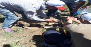 Günyüzünde Su Kuyusuna Düşen Yavru Köpeği İtfaiye Ekipleri Kurtardı