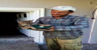 Sakaryalı Çiftçiden Alkışlanacak Davranış