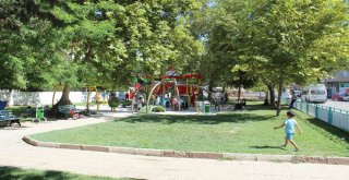 Muhtar Taştan Parka Kamera Ve Işıklandırma Talebi