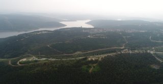 Sultangazi Mimar Sinan Şehir Ormanında  Cemal Kaşıkçının İzi Arandı