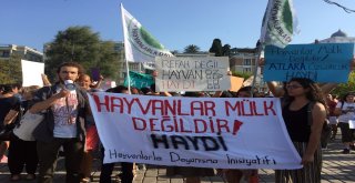 Büyükadada ‘Faytona Son, Atlara Özgürlük Eylemi
