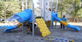 Haliliyedeki Parklarda Peyzaj Çalışmaları