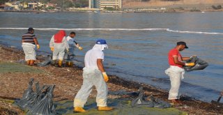 Denizdeki Petrol Sızıntısının Kaynağını Tübitak Da Araştırıyor