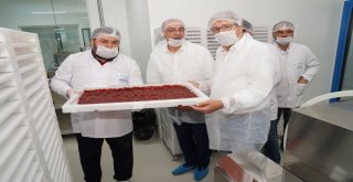 Rektör Budaktan İki Günlük Bilim Gezisi