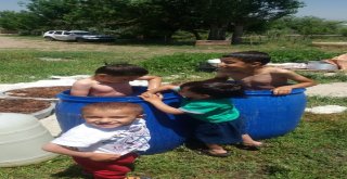 Ağrıda Sıcaktan Bunalan Çocuklar Su Dolu Varillerde Serinliyor