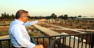 Başkan Çelikcan: Kıyıpark Millet Bahçesi Gibi Hizmet Verecek