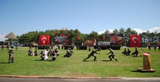 Komando Teğmenler Brövelerini Aldı
