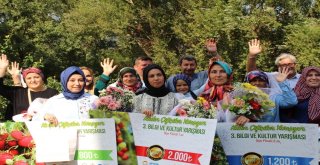 Finikede Toprağın Sultanı Asiye Akkaya Oldu