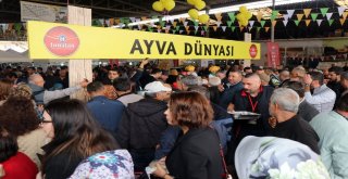 Geyve Ayvası Dünya Markası Olacak