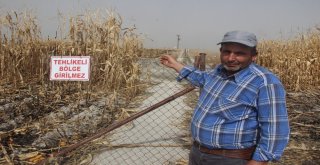 Obruk Sayısı Artıyor, Çevrede Hayat Devam Ediyor