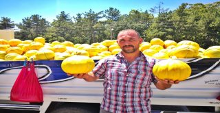 Çorumun Meşhur 10 Dilim Kavunu Tezgahta Yerini Aldı