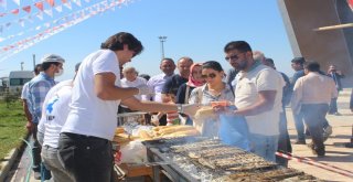 Vanda Balık Festivaline Yoğun İlgi