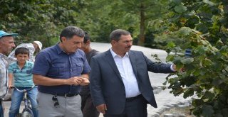 Başkan Uysal Çalışmalarını Yerinde İnceledi