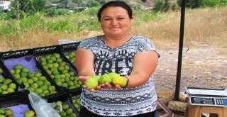 Manisa İnciri Tezgahlardaki Yerini Aldı