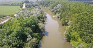 (Özel) Osbnin Atık Suları İle Kirlenen Sakarya Nehri Havadan Görüntülendi