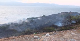 Bandırmada Arazi Yangını