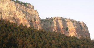 Herkes Bu Kayayı Görmeye Geliyor