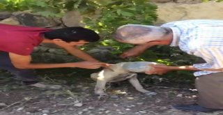 Baba Oğuldan Örnek Davranış