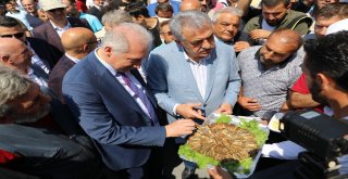 Kumkapı, Balıkçılar Çarşısına Kavuştu