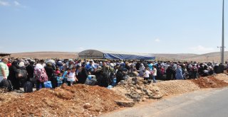 Suriyeliler Bayramlaşmak İçin Ülkelerine Gitmeye Başladı