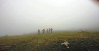 Adanalı Dağcılar Kaçkar Dağı Zirvesine Çıktı