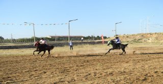 Yeşilyurt Kültür Kiraz Ve Spor Festivali Dolu Dolu Geçti