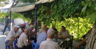 Vali Tavlı, Akçapınar Köyünü Ziyaret Etti