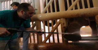 5 Tonluk Fillerin Bayram Temizliği