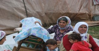 Evrimin Kaybıyla İlgili 3 Kişi Gözaltına Alındı